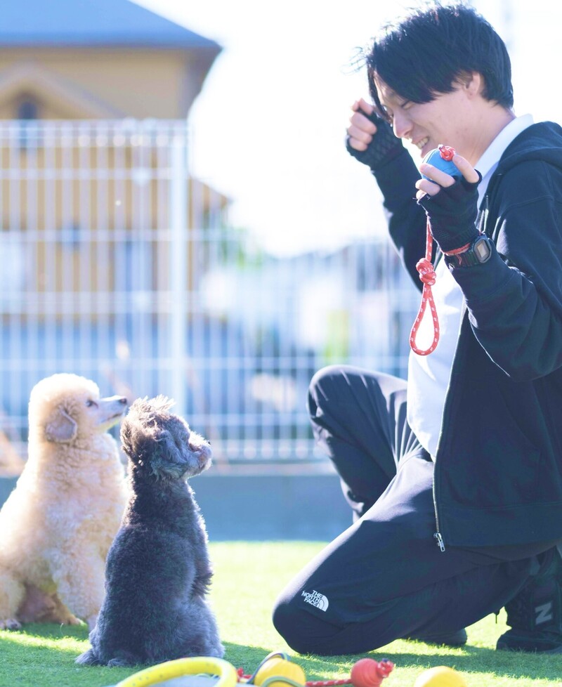 株式会社東京DOGSイメージ5