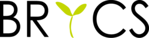 株式会社BRICSロゴ2